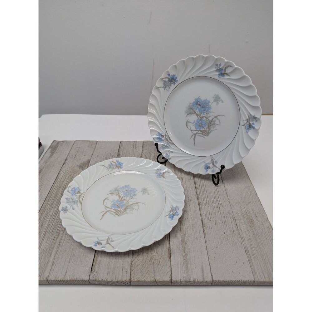 Haviland Limoges Bergere Set 2 Salad Plates Vintage Blue Flowers France